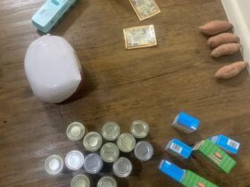 免费感恩节火鸡